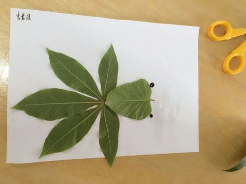 爱尔幼儿园中(五)班主题教学活动篇"树叶创意造型"拼贴画