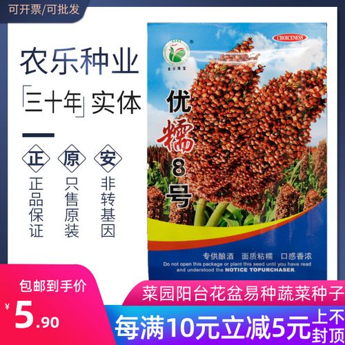 农乐种业优糯8号红高粱种子种籽酿酒高粱口感蔬菜种子
