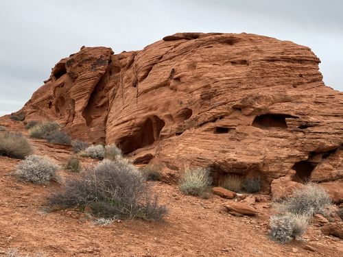 红砂岩风化下的红土,孕育出灰绿色的沙漠耐旱植物.