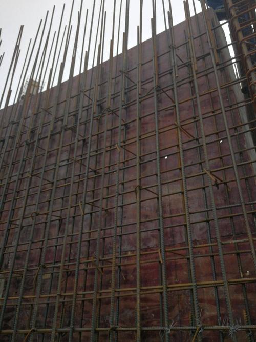 06.05周宁移动公司生产调度楼地下室墙柱钢筋检查