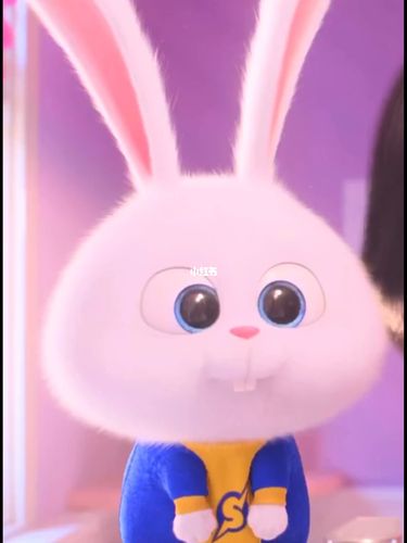 可爱的兔子,两个大板牙_兔子_阳江攻略_兔宝宝怎么样