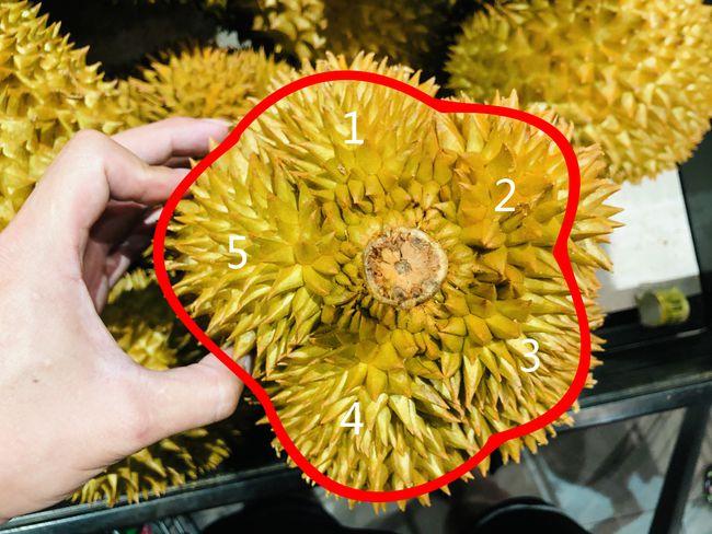 吃榴莲的旺季来了你还让别人帮你挑吗教你挑选榴莲三步曲