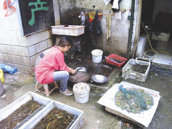 图文:可怜的青蛙被现杀现卖