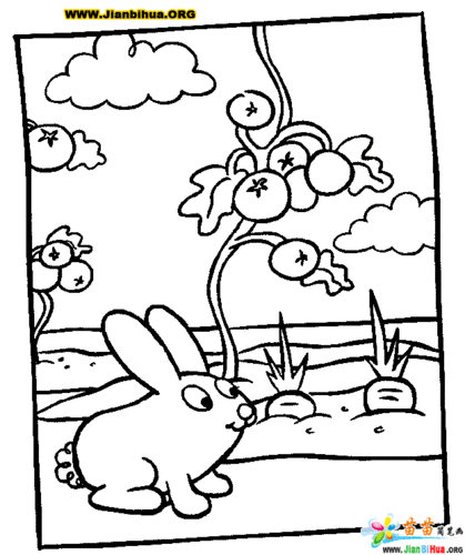 简笔画风景动物