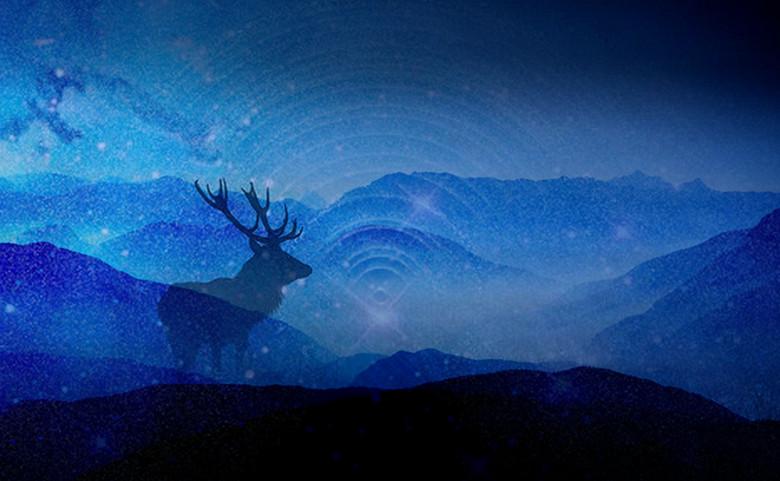 星空小鹿剪影背景