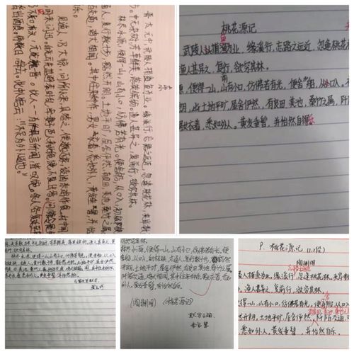 大家默写桃花源记