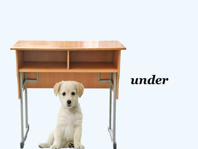 unit 6 my home lesson 1 方位介词.ppt