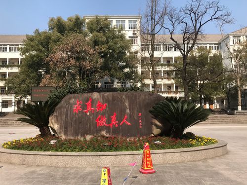 我的心仪学校——处州中学