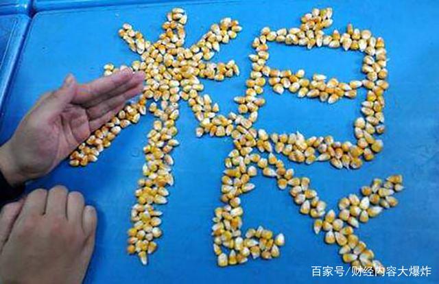 50年来最严重粮食危机要来了,我们要靠什么独善其身呢