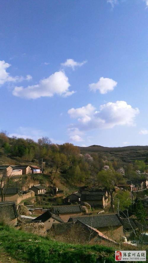 农村的风景_张家川摄影家协会_张家川论坛_张家川在线