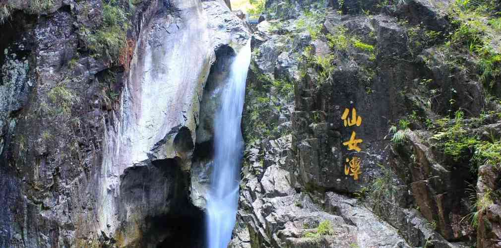 南岭国家森林公园广东天然生态保护屏障有广东物种宝库的美誉