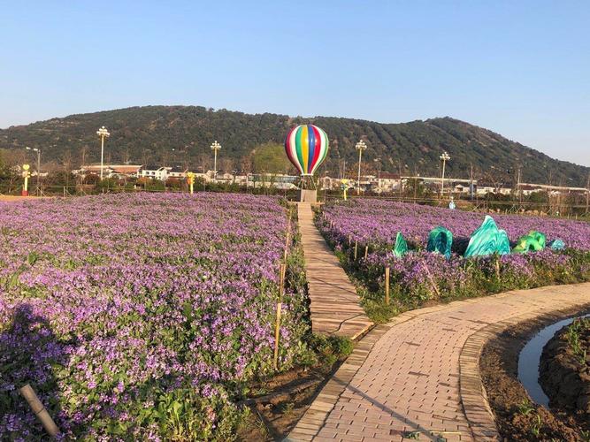 【携程攻略】苏州太湖花海主题度假乐园景点,感谢亲的
