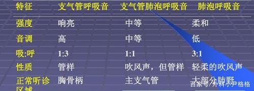 体格检查一心肺听诊之一(肺部听诊)