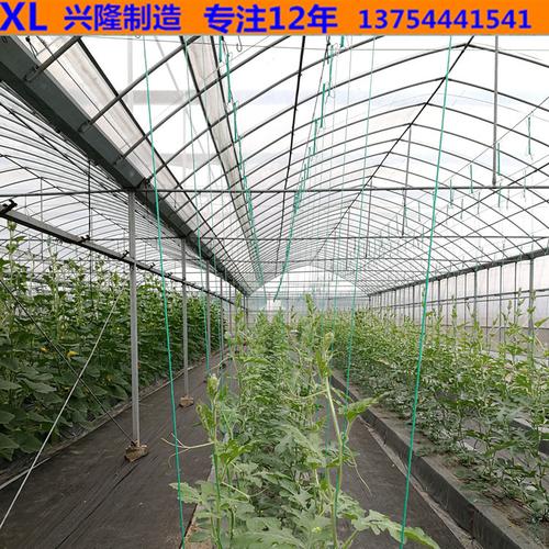 大棚挂钩挂钩 金属钢丝钩西红柿挂钩吊蔓钩西红柿 挂钩钢丝挂钩