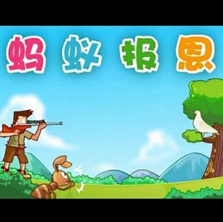 讲故事:蚂蚁报恩