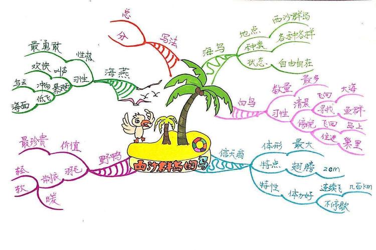 《西沙群岛的鸟》思维导图