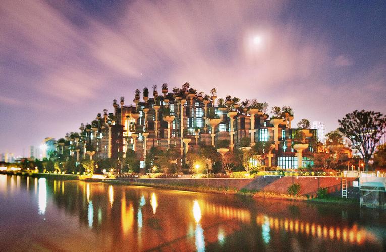 天安千树夜景