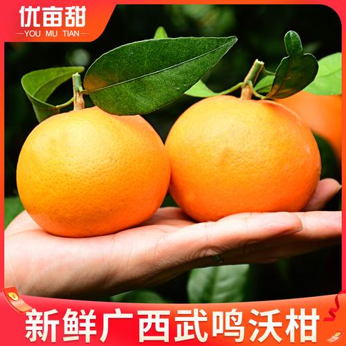 广西武鸣沃柑15枚大果礼盒装当季新鲜水果橘子皇帝贡柑蜜桔子甜10