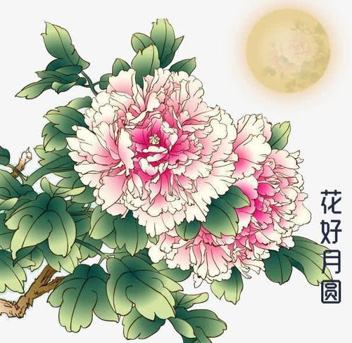 关键词 : 中秋,花好月圆,牡丹,月亮