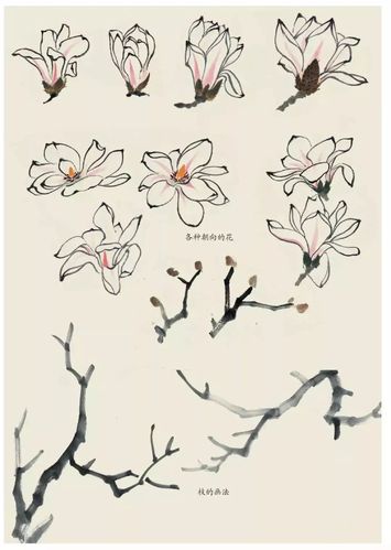 国画中各种花卉的画法,太全了!