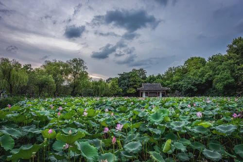 南京这些景点近期统统免费!