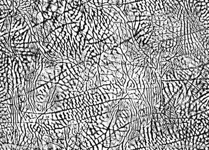 皮革 纹理 皮纹 特版 图案图片