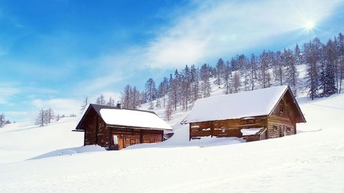 雪中情的作文600字 雪中情的作文350字