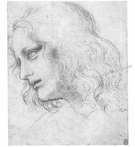 绘画作品 国际画画作品 > 正文   达芬奇《圣菲利浦的头像》经典素描