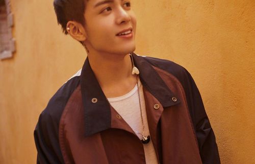 分享一组曾舜晞图片给大家,图中的明星图片壁纸会点缀你的电脑桌面