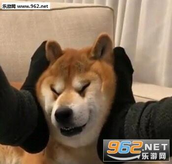 确认过眼神是不想理的人表情包