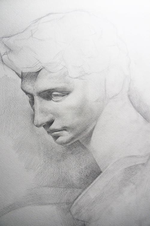 石膏像素描《小卫》