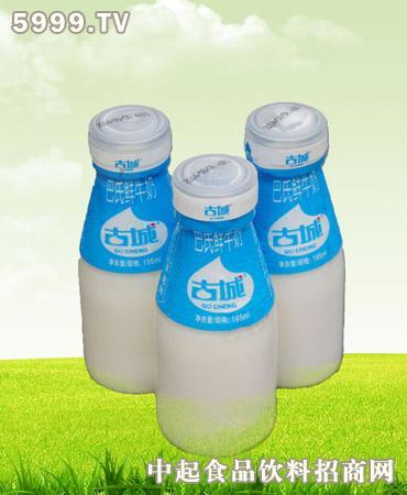 古城巴氏酸牛奶