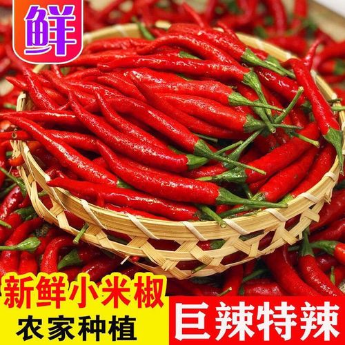 现摘特辣小米椒新鲜朝天椒指天椒剁椒蔬菜红辣椒小米辣鲜椒批发