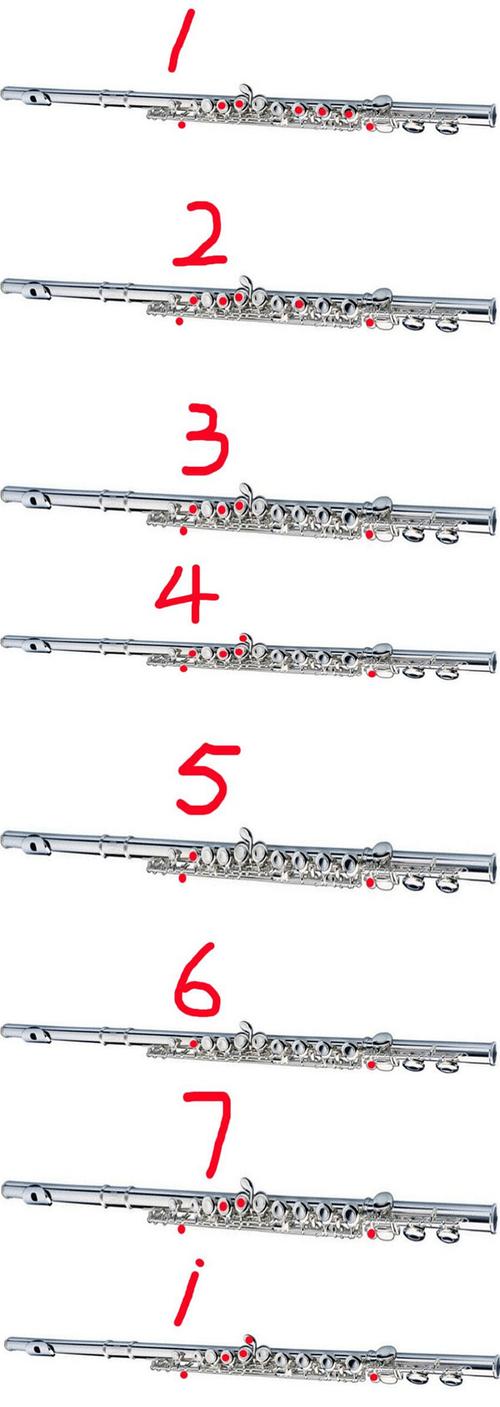 长笛好学吗长笛指法表长笛基本指法图解长笛颤音指法表
