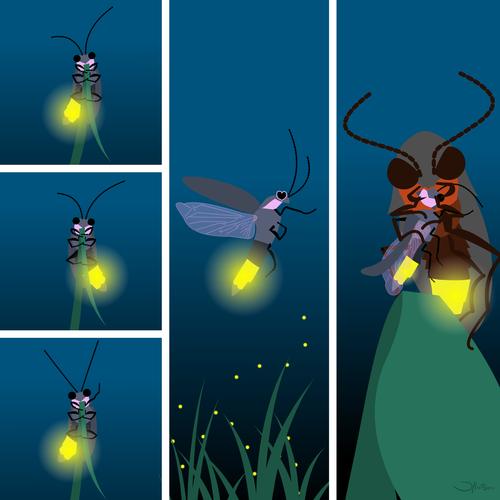 bhr_biolume_firefly