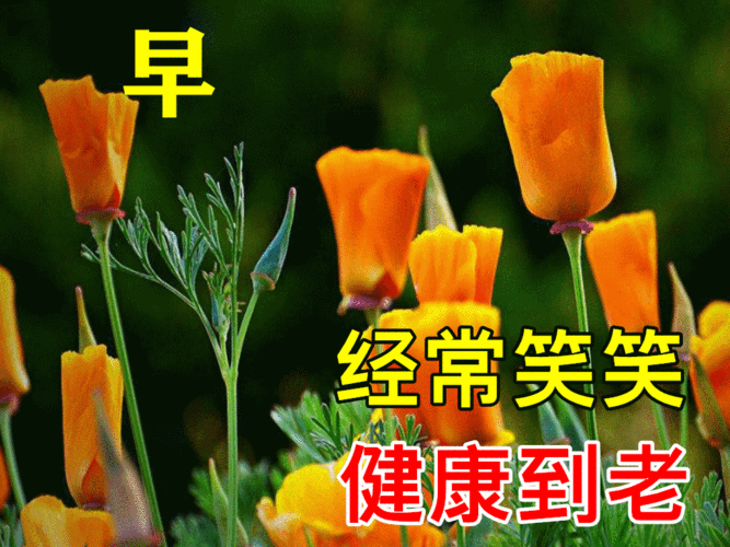 早安.2,人生要不乱于心,不困于情.心态安好,则幸福常存.
