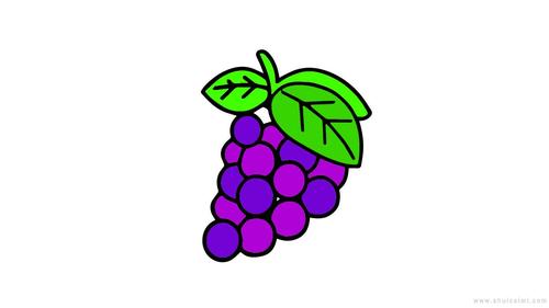 一串葡萄简笔画怎么画一串葡萄简笔画画法