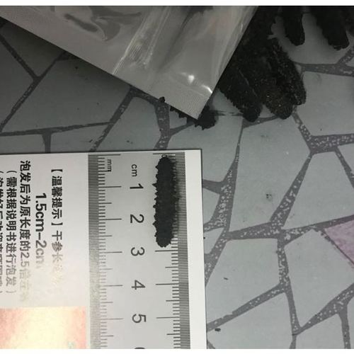 > 瑞福磷海鲜水产大连野生淡干海参干货1只 长度2.