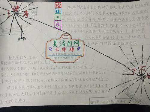 不一样的猪《王牌猪》——向阳小学二年级6班阅读手抄报分享