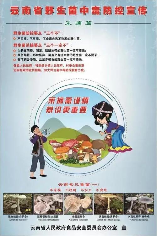 云南省人民政府食品安全委员会办公室 为大家带来了食用野生菌安全