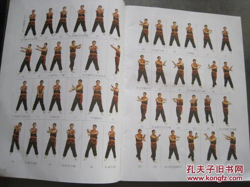 《咏春拳入门必读(挂图)》无盘