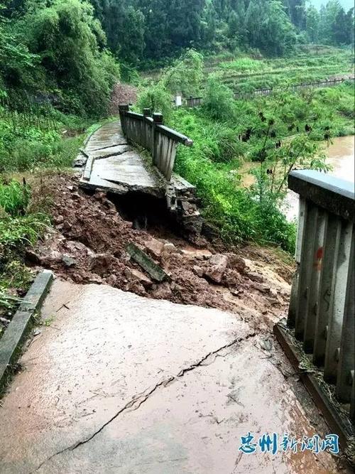 忠县遭遇雷雨袭击,部分乡镇受灾严重