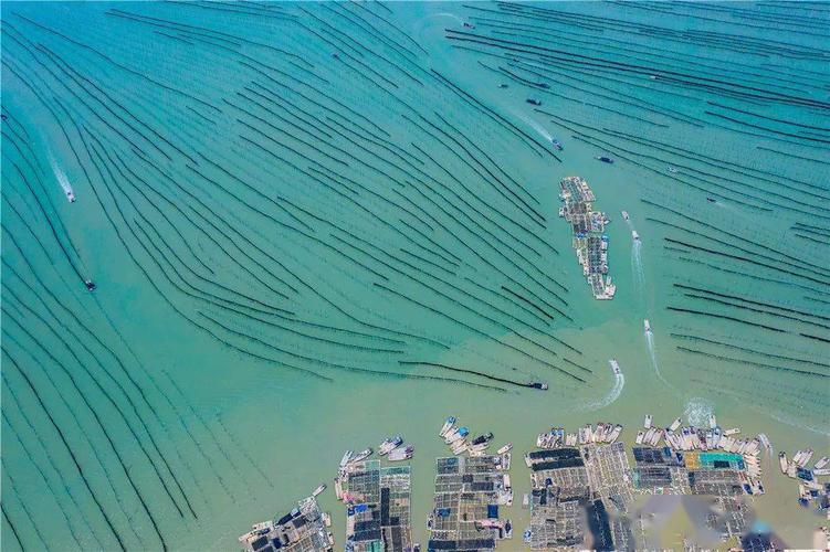 【大美宁德】福建霞浦摄影群英会500幅入围摄影作品欣赏(151-200)