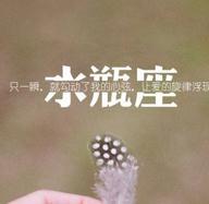 水瓶座女生头像带字图片大全