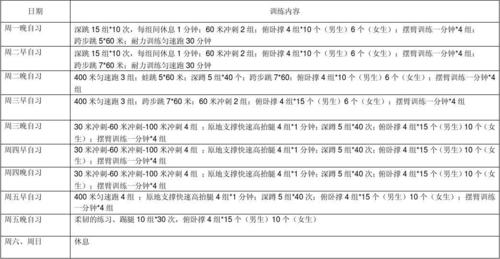 参赛运动员训练计划