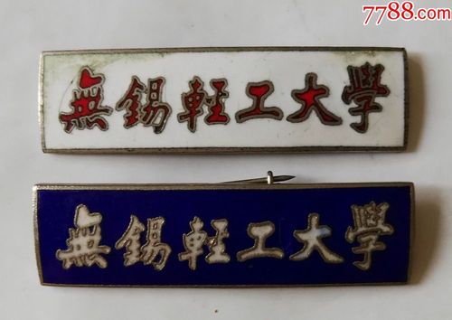 无锡轻工大学(白色,蓝色一对)