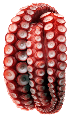 特殊纹路宝石等