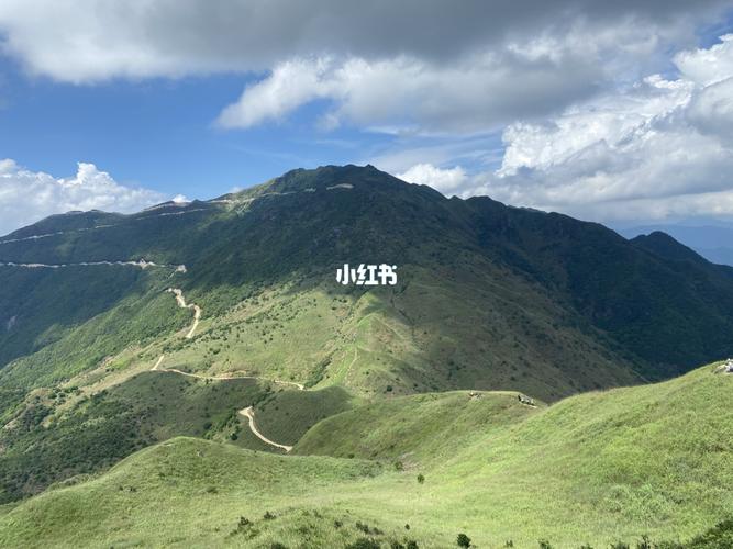 徒步惠州大南山 行走在高山草坡上7215