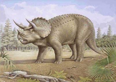 恐龙种类介绍及图片恐龙品种介绍及图片