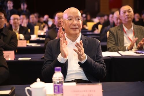 七彩云南创始人任怀灿当选中国旅游协会最美小镇分会副会长